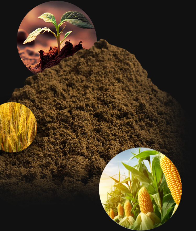 soil, wheat, corn