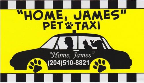 Home, James Pet Taxi